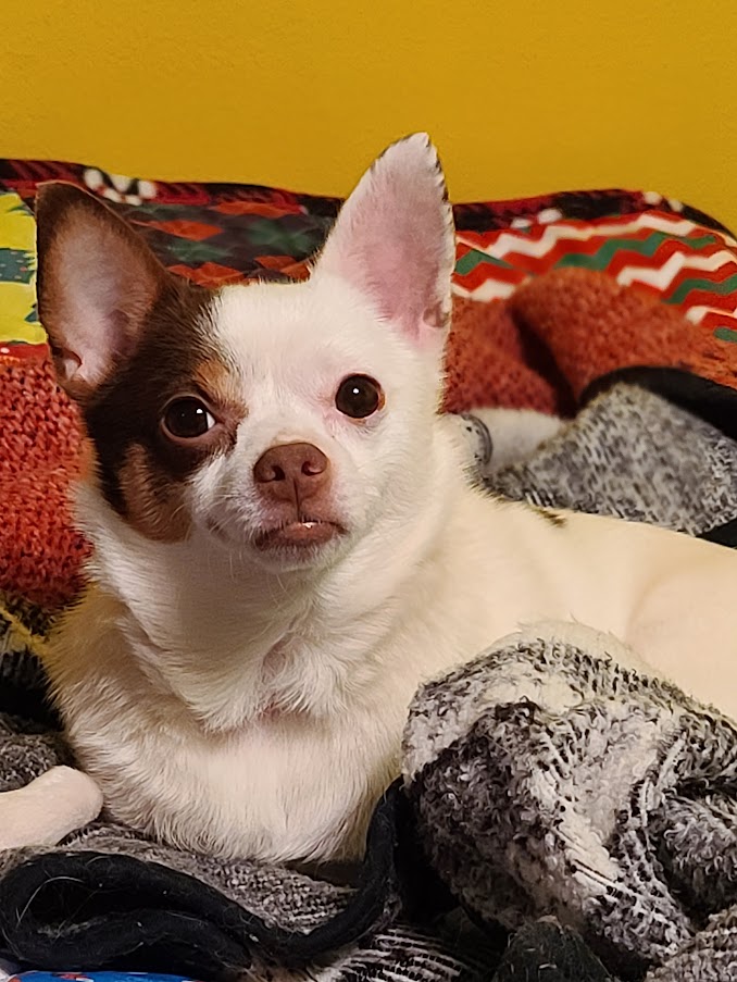 Tyler, my bitey boy Tyler, my bitey boy